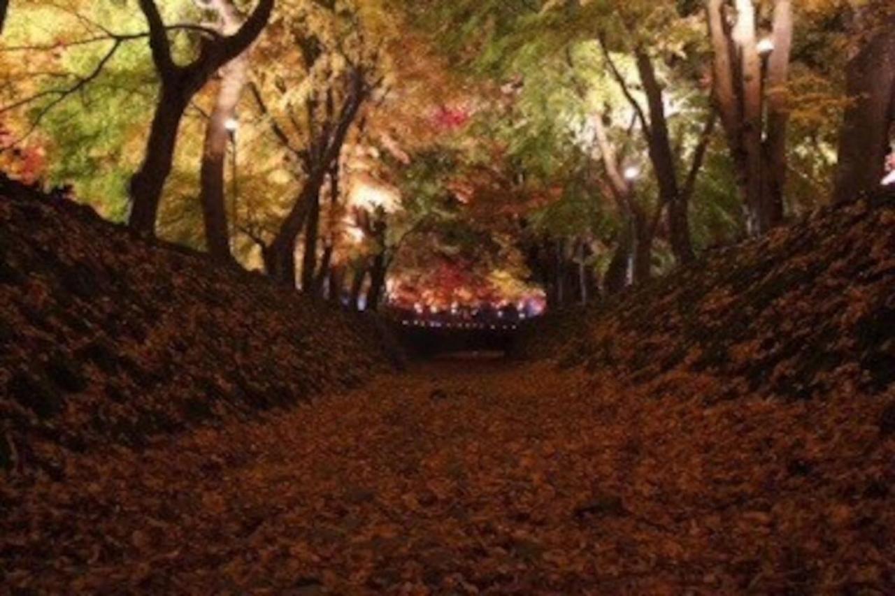 Enico,Mt,Fuji Nagomi和 旧 Tocoro,Mt,Fuji Uzuki Villa Fujikawaguchiko Bagian luar foto